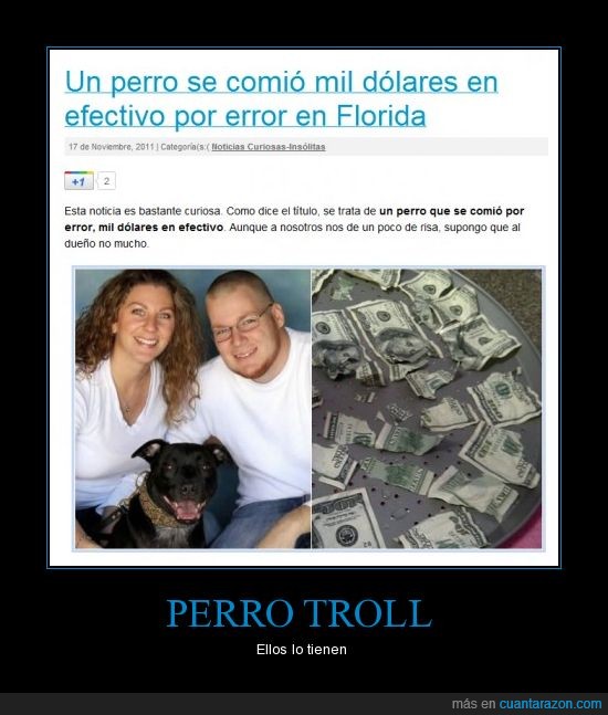 perrro,troll,dinero,error,dueños
